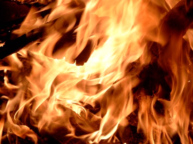 Medion   DIGITAL CAMERA